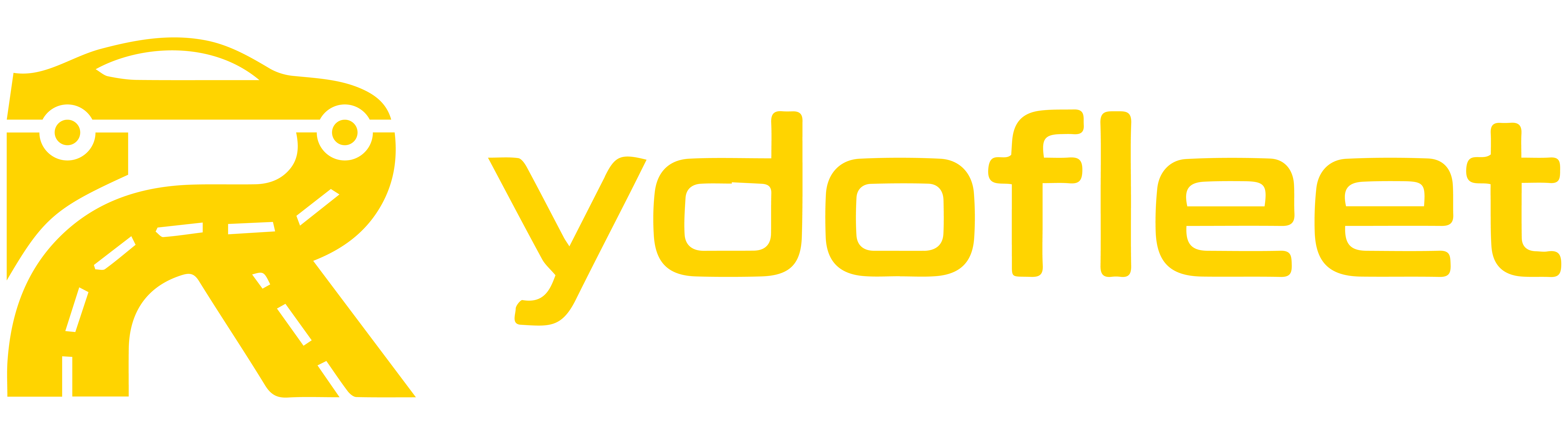 Rydofleet